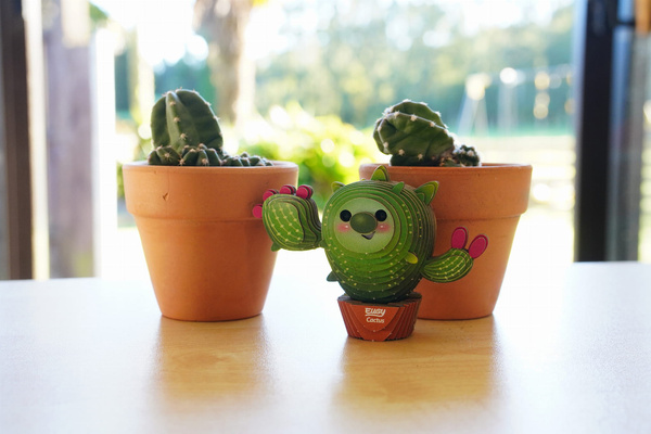 Układanka Puzzle 3D Kwitnący Kaktus - zestaw kreatywny dla dzieci 6+, Eugy