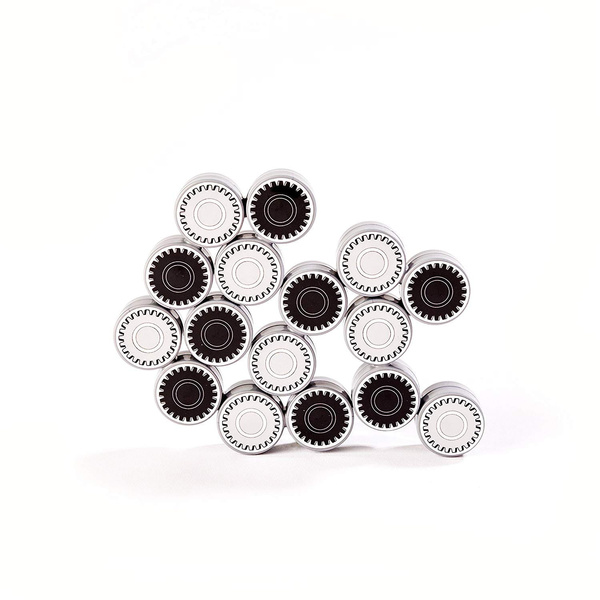 Łamigłówka Coggy, Fat Brain Toys