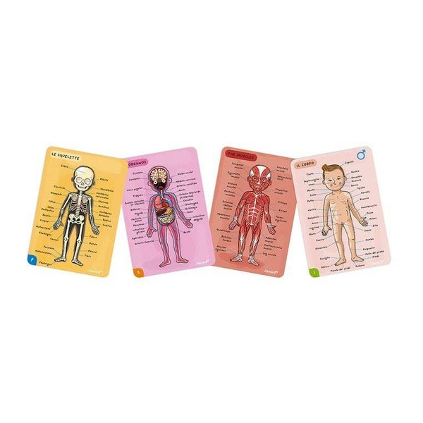 Układanka magnetyczna Ciało człowieka, Janod