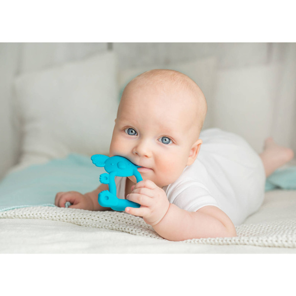 Gryzak silikonowy Uspokajający Koala Turkusowy, Giligums