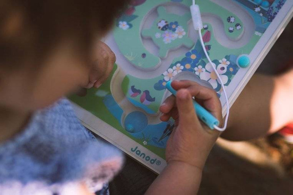 Magnetyczny labirynt Łąka, Janod