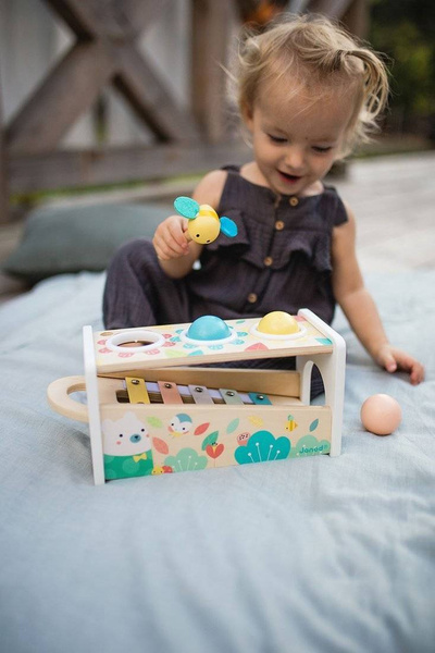 Drewniane cymbałki z kulodromem Pure 12 m+, Janod