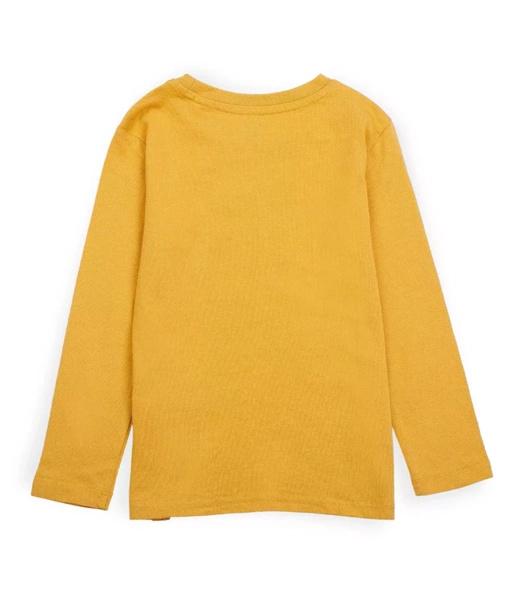 Sinsay Bluzka chłopięca z długim rękawem, motyw totema