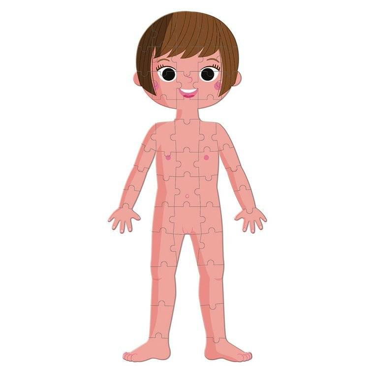 Puzzle edukacyjne Ciało człowieka Janod - twardy karton, kolorowe ilustracje