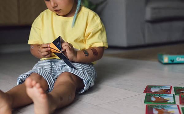 Gra zręcznościowa Serowa bitwa 4+, Janod