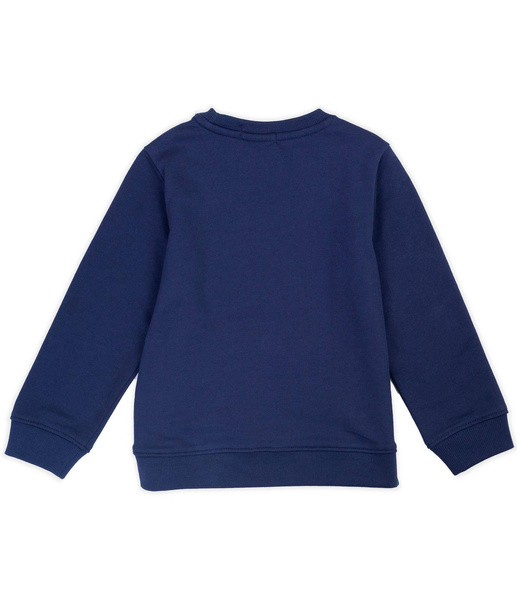 Sinsay Bluza chłopięca Superman