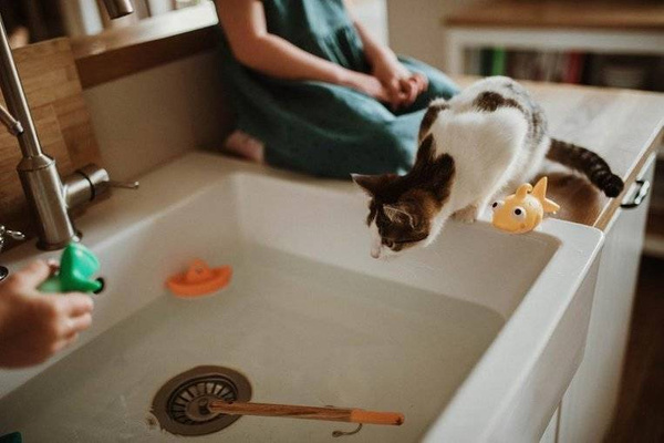 Zestaw do wędkowania w kąpieli 2+, Janod