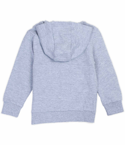 Sinsay Szara zapinana bluza z kapturem