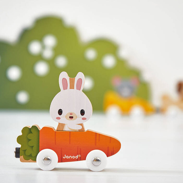 Magnetyczne drewniane pojazdy z domowymi zwierzątkami Farma 18 m+, Janod