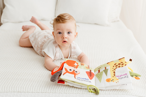 Książeczka sensoryczna Mieszkańcy Dzikiej Natury dla dzieci 0m+, Jolly Baby