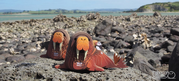 Puzzle 3D Układanka Mors - zestaw kreatywny dla dzieci 6 lat+, Eugy