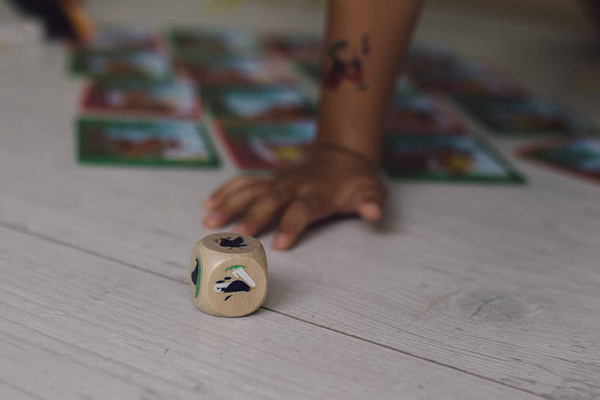 Gra zręcznościowa Serowa bitwa 4+, Janod