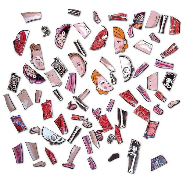 Układanka magnetyczna Ciało człowieka, Janod