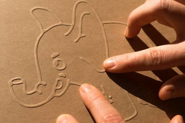 Wypukła kolorowanka dotykowa Zwierzęta, brązowa - eko, Robot Manufacture