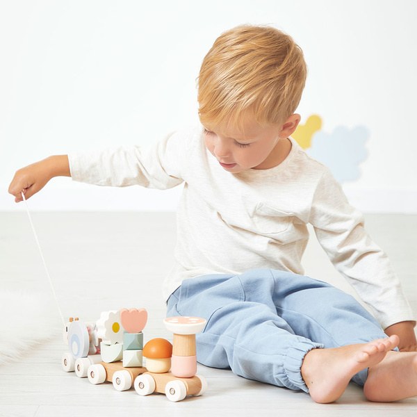 Magnetyczny pociąg z klockami do ciągnięcia Ślimak, 12m+, Janod