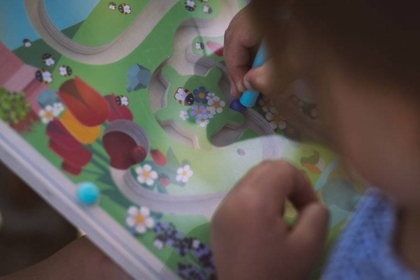 Magnetyczny labirynt Łąka, Janod