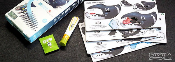 Układanka 3D Wieloryb Grenlandzki, Eugy