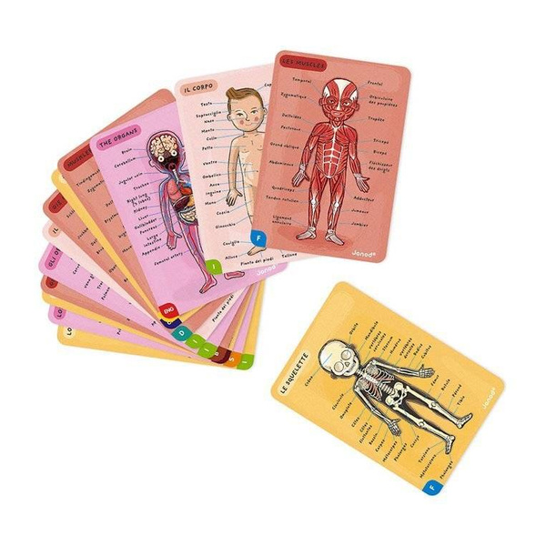 Układanka magnetyczna Ciało człowieka, Janod