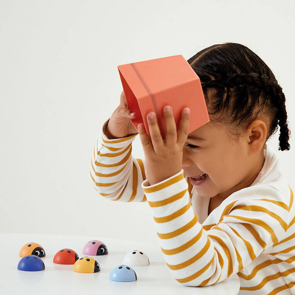 Gra pamięciowa memory Biedronki 2+, Janod