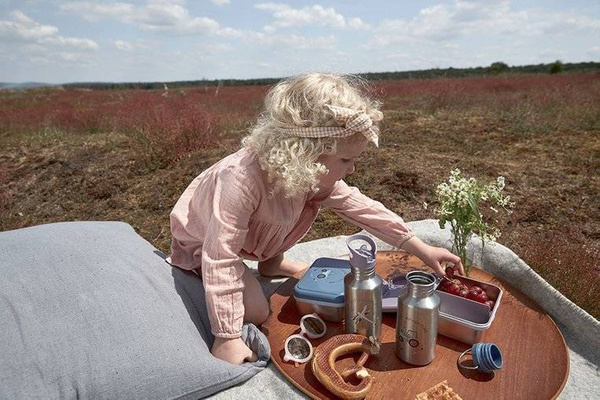 Lunchbox ze stali nierdzewnej Adventure Ważka, Lassig