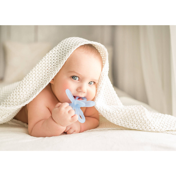 Gryzak silikonowy Uspokajający Kwiatek niebieski, Giligums