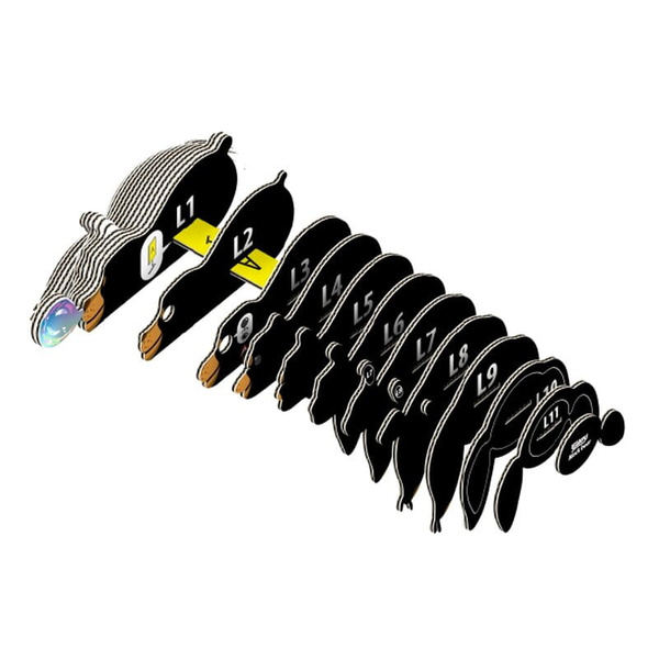 Układanka Puzzle 3D Niedźwiedź brunatny - zestaw kreatywny dla dzieci 6 lat+, Eugy