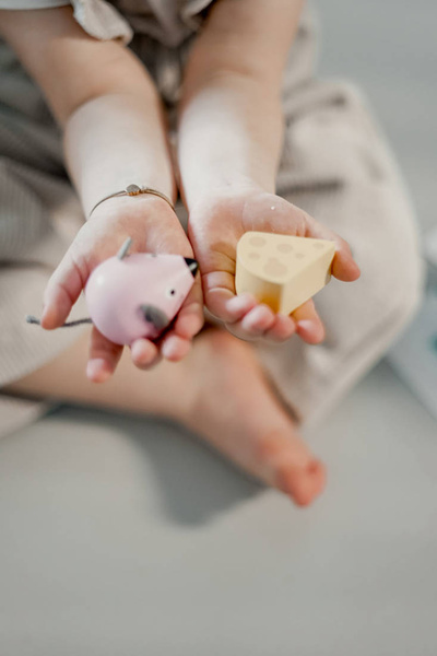 Drewniana układanka Orientacja w przestrzeni Kot i mysz 3+, Janod