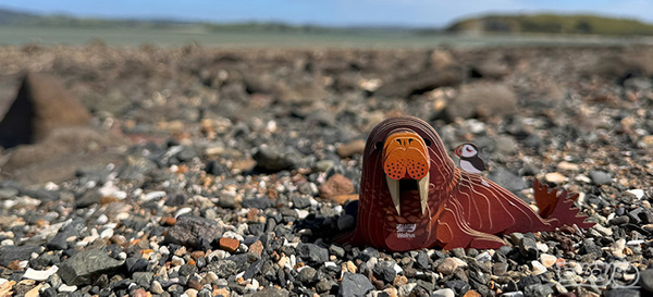 Puzzle 3D Układanka Mors - zestaw kreatywny dla dzieci 6 lat+, Eugy