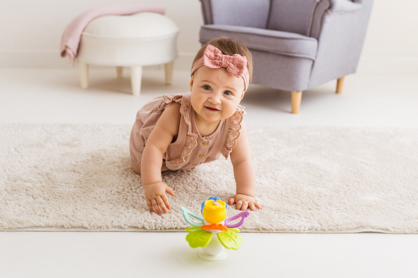 Zabawka sensoryczna - Terkoczący Ogród, dla dzieci, 3 m+, Dumel