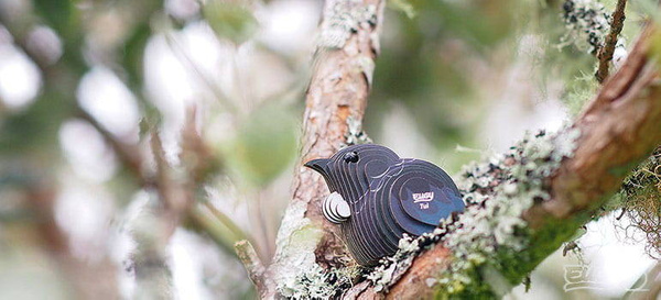 Układanka Puzzle 3D Ptak Kędziornik - zestaw kreatywny 6 lat+, Eugy