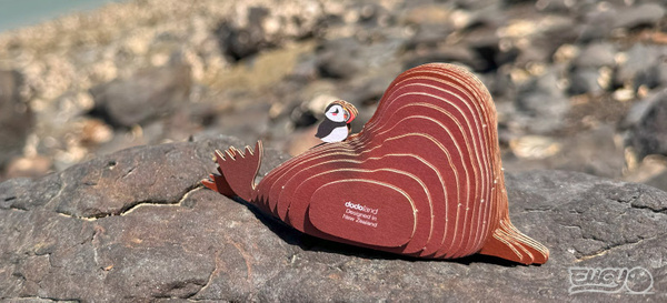 Puzzle 3D Układanka Mors - zestaw kreatywny dla dzieci 6 lat+, Eugy