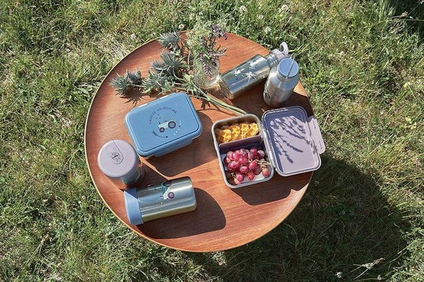 Lunchbox ze stali nierdzewnej Adventure Ważka, Lassig