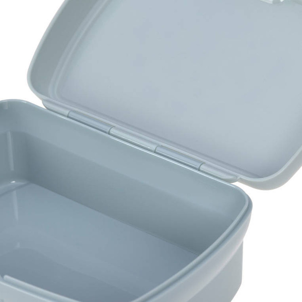 Zestaw na lunch Lunchbox + Tritanowa butelka - bidon 460 ml About Friends Dinozaur, Lassig