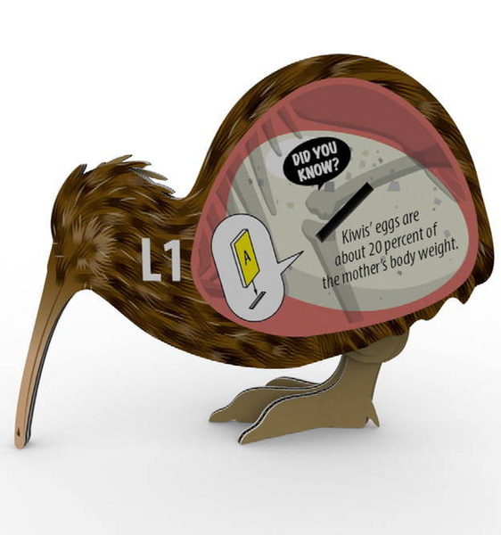 Układanka Puzzle 3D Brązowy Kiwi - zestaw kreatywny dla dzieci 6 lat+, Eugy