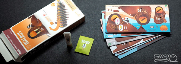 Puzzle 3D Układanka Mors - zestaw kreatywny dla dzieci 6 lat+, Eugy