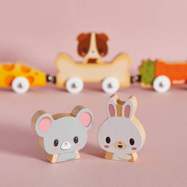 Magnetyczne drewniane pojazdy z domowymi zwierzątkami Farma 18 m+, Janod