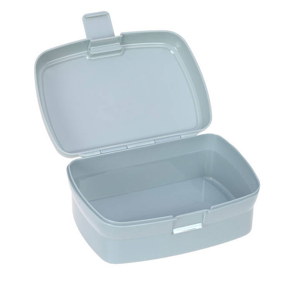 Zestaw na lunch Lunchbox + Tritanowa butelka - bidon 460 ml About Friends Dinozaur, Lassig