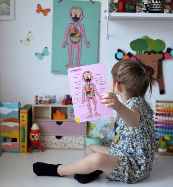 Układanka magnetyczna Ciało człowieka, Janod