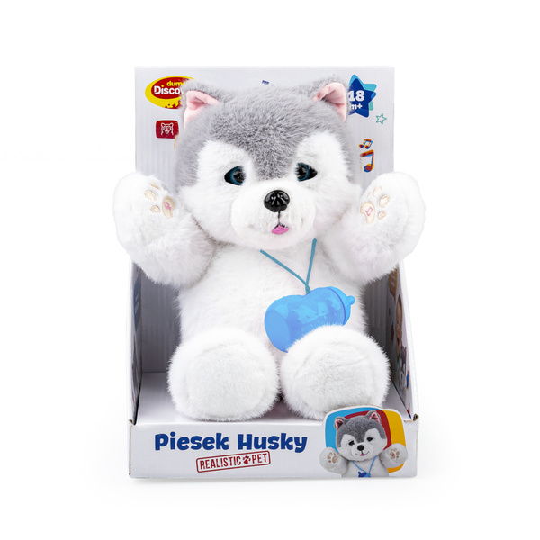 Zabawka interaktywna - Piesek Husky, dla dzieci, 18 m+, Dumel