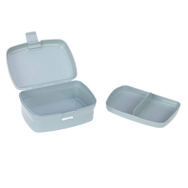 Zestaw na lunch Lunchbox + Tritanowa butelka - bidon 460 ml About Friends Dinozaur, Lassig