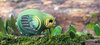Układanka 3D Papuga Kakapo, Eugy