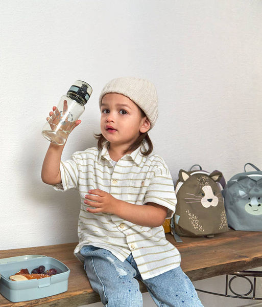 Zestaw na lunch Lunchbox + Tritanowa butelka - bidon 460 ml About Friends Dinozaur, Lassig